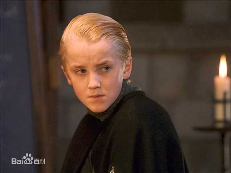 汤姆·费尔顿(Tom Felton)德拉科·马尔福壁纸壁纸