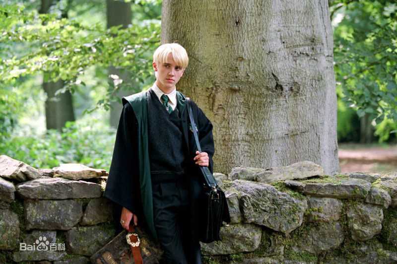 汤姆·费尔顿(Tom Felton)德拉科·马尔福壁纸壁纸
