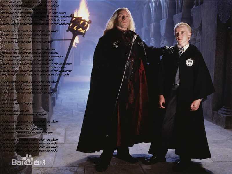 汤姆·费尔顿(Tom Felton)德拉科·马尔福壁纸壁纸