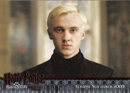汤姆·费尔顿(Tom Felton)德拉科·马尔福壁纸壁纸