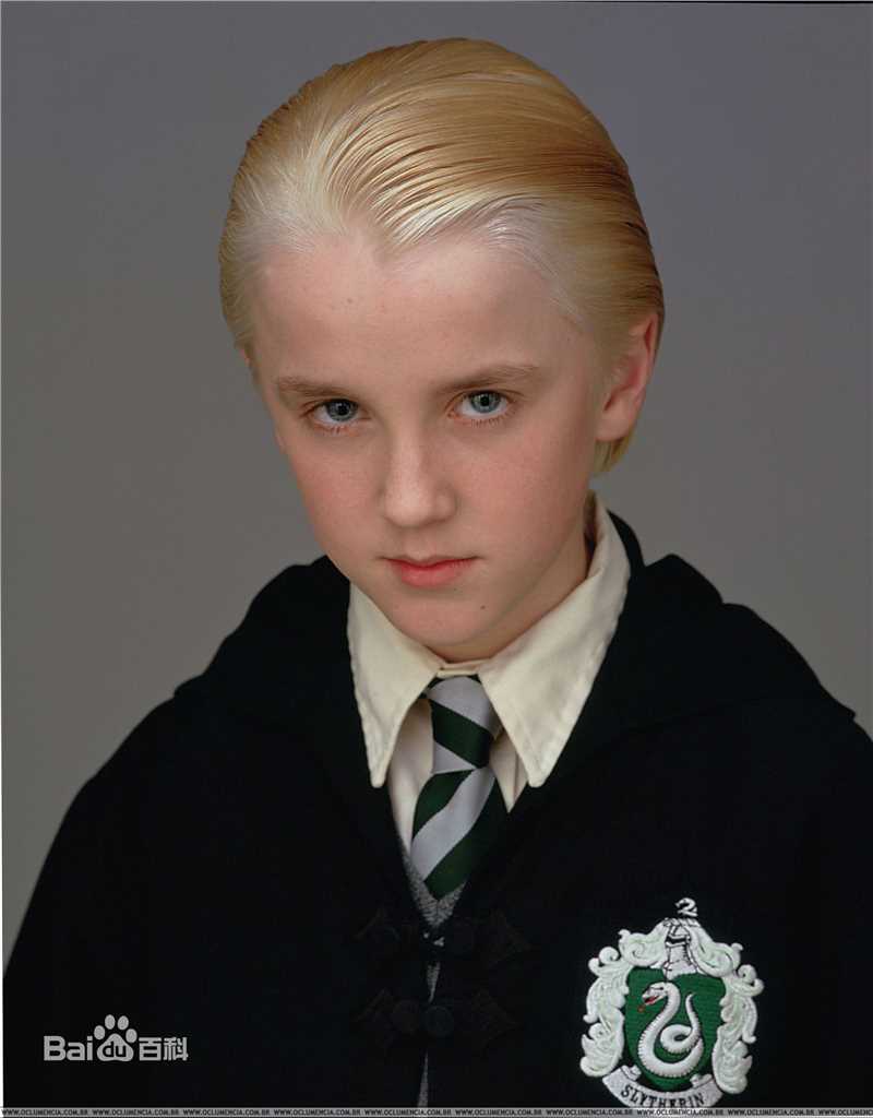 汤姆·费尔顿(Tom Felton)德拉科·马尔福壁纸壁纸
