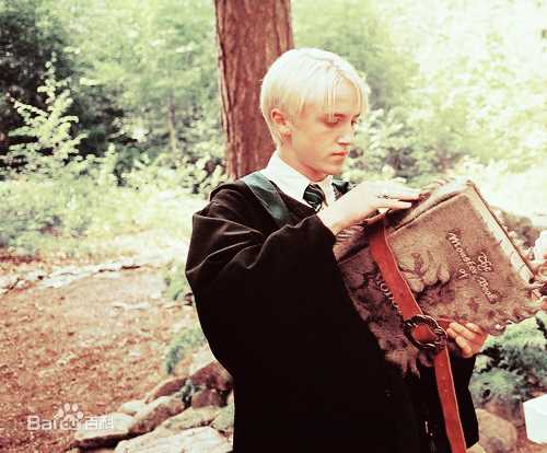 最优质汤姆·费尔顿(Tom Felton)精彩图册