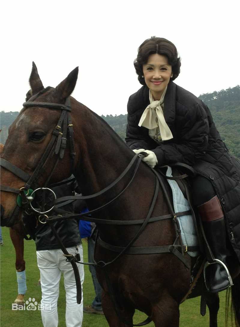 韩马利(Mary Hon Ma Li)《名媛望族》精选剧照