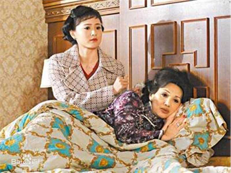 韩马利(Mary Hon Ma Li)《名媛望族》精选剧照