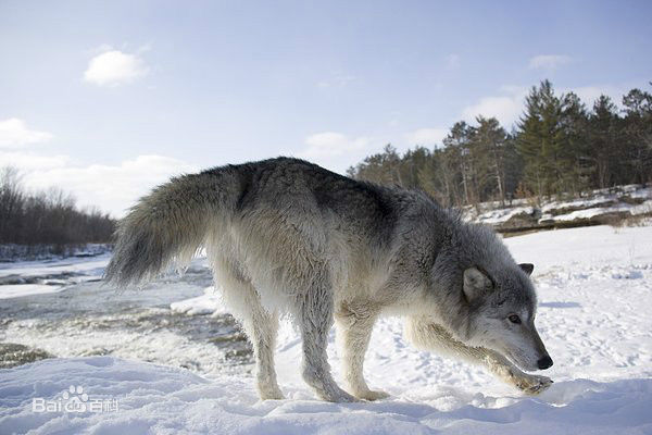 最全金兴贤(Kam Hing Yin)素颜照