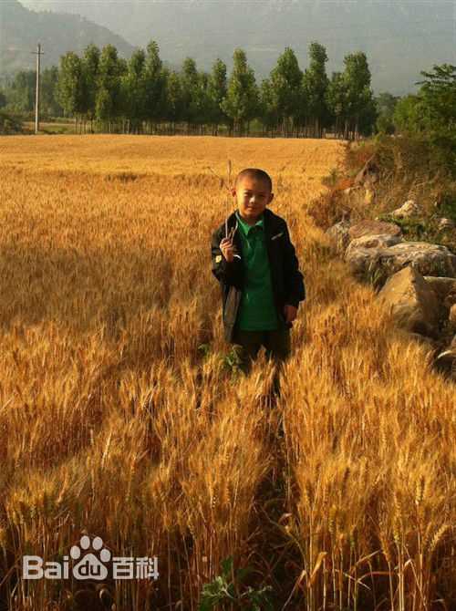 李思瑶 （法号：释小松）盗墓风云★小豹壁纸壁纸