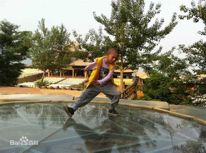 李思瑶 （法号：释小松）盗墓风云★小豹壁纸壁纸