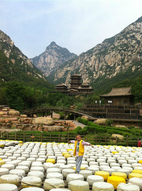 李思瑶 （法号：释小松）盗墓风云★小豹壁纸壁纸