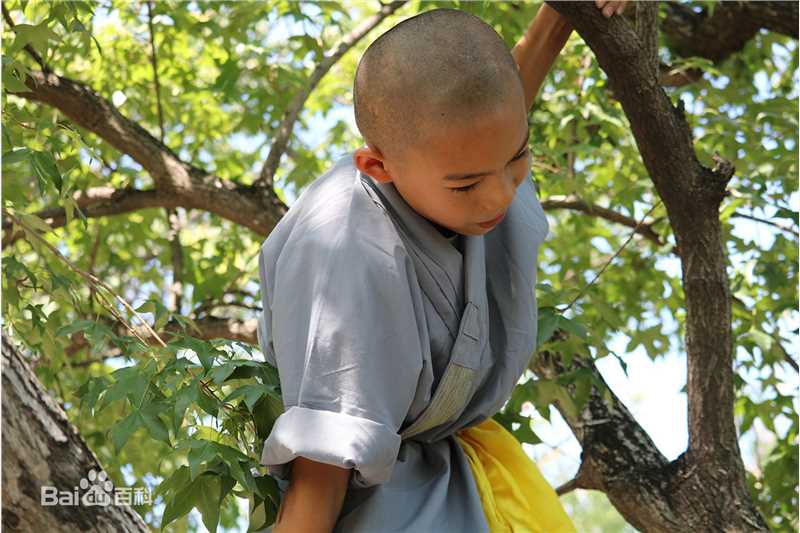 李思瑶 （法号：释小松）释小松2015生活照生活照相册