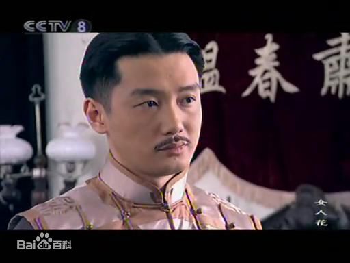 巩峥出演影视最优质剧照