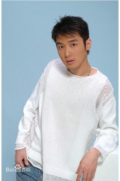 最优质巩峥精彩图册