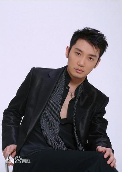 最优质巩峥精彩图册