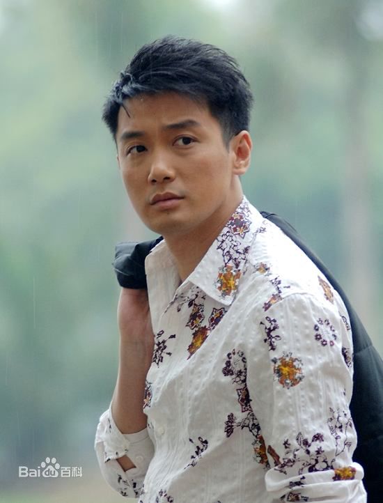 最优质巩峥精彩图册