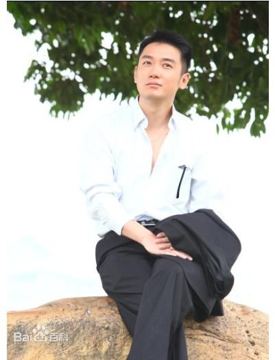 最优质巩峥精彩图册