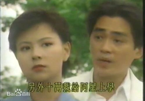 李美凤(Elizabeth Lee)《前世冤家》最全剧照