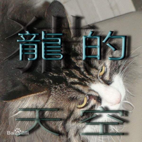 最优质蔡国权(Terence Choi)生活照