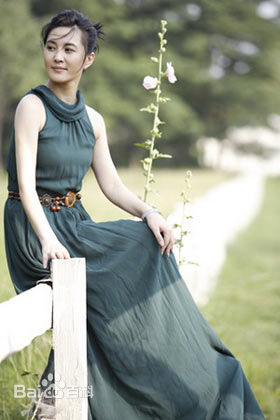 最新王菁华壁纸