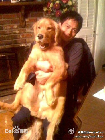 高圣远(Archie Kao（音：阿尔奇）)生活照壁纸壁纸