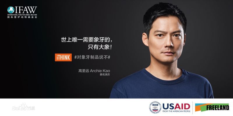 高圣远(Archie Kao（音：阿尔奇）)公益性感图片图集