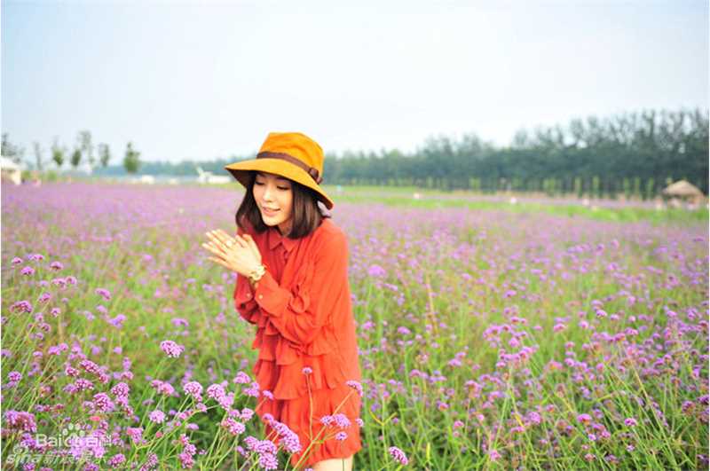 精选王文绮(Vicky.Q)精彩图册