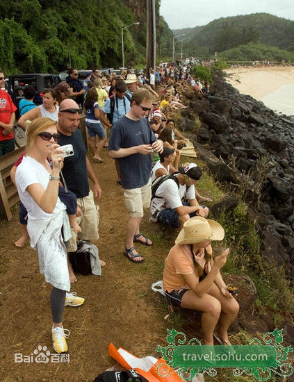 杜若溪(sunny)杜晓婷精彩图册