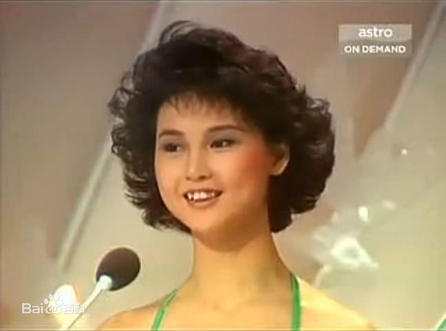 王美华(Mei-Wah Wong)1985年参加港姐竞选图片性感图片图集