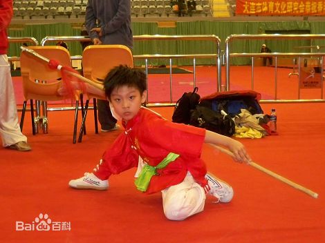 关德兴嫡孙关照洋图片图集