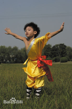 关德兴嫡孙关照洋图片图集