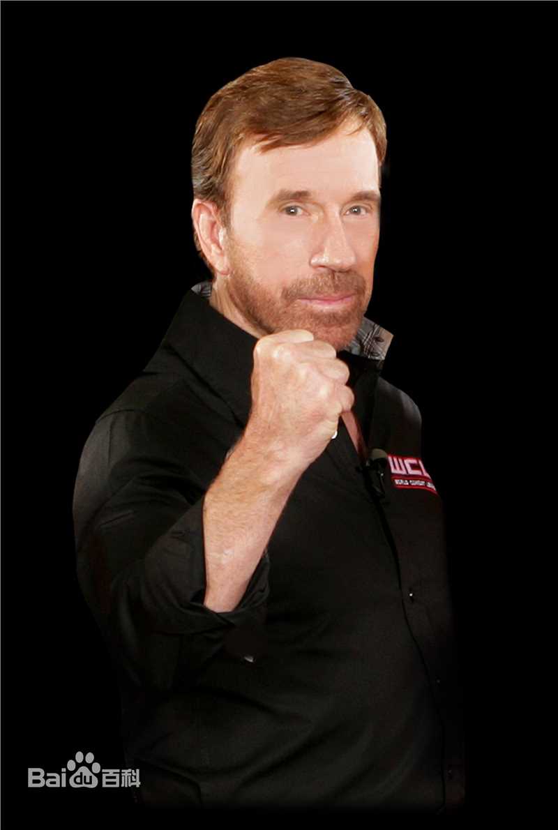 查克·诺里斯(Chuck Norris)动作巨星的风采图片图册