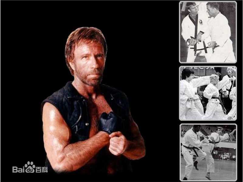 查克·诺里斯(Chuck Norris)动作巨星的风采图片图册