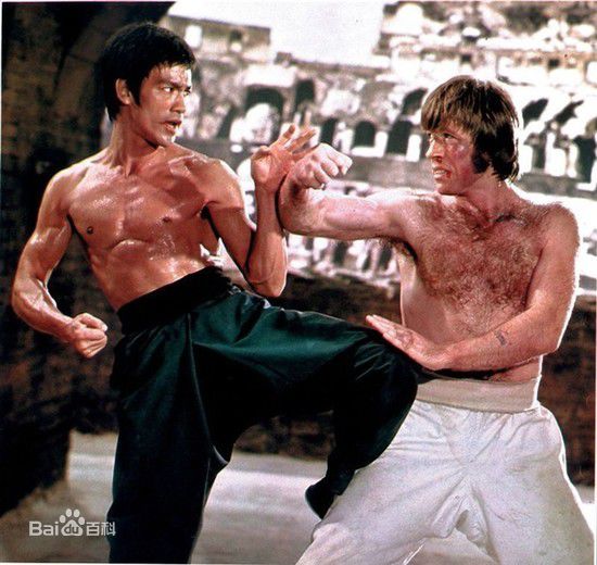 查克·诺里斯(Chuck Norris)动作巨星的风采图片图册