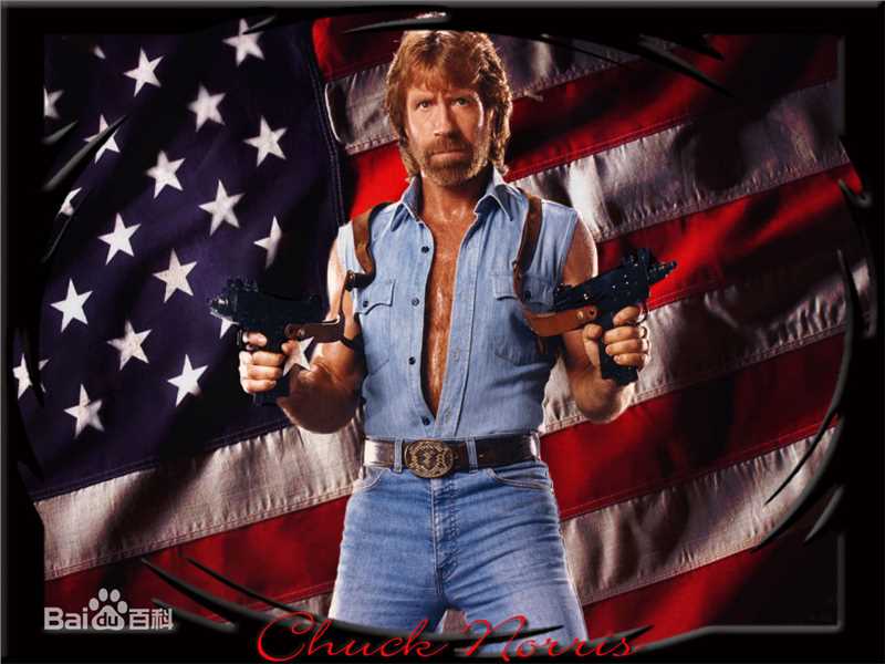 查克·诺里斯(Chuck Norris)动作巨星的风采图片图册