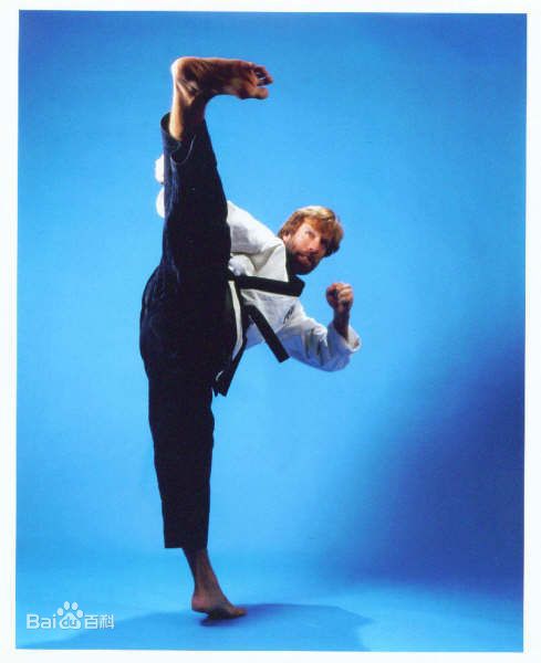 查克·诺里斯(Chuck Norris)动作巨星的风采图片图册