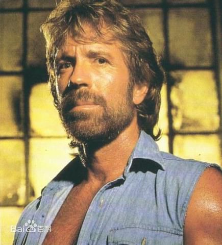 精选查克·诺里斯(Chuck Norris)