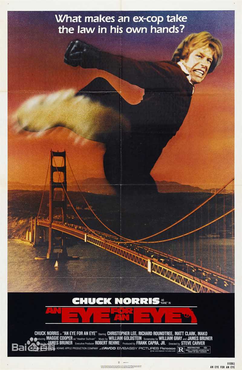 精选查克·诺里斯(Chuck Norris)