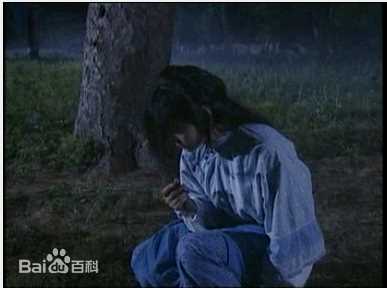 最全王深深(wangshenshen)在《太极宗师》饰 赛玉凤中的壁纸