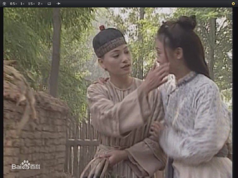 最全王深深(wangshenshen)在《太极宗师》饰 赛玉凤中的壁纸