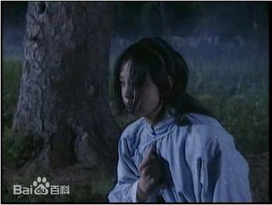 最全王深深(wangshenshen)在《太极宗师》饰 赛玉凤中的壁纸