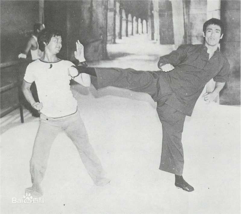 精选小麒麟(Little Unicorn)