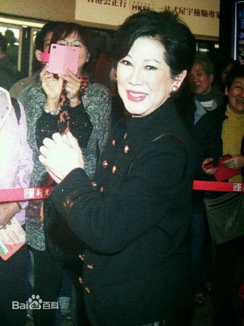 凌波出席活动素颜照相册