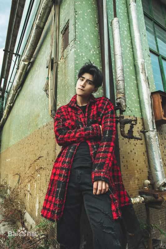 张思帆最强男神壁纸壁纸