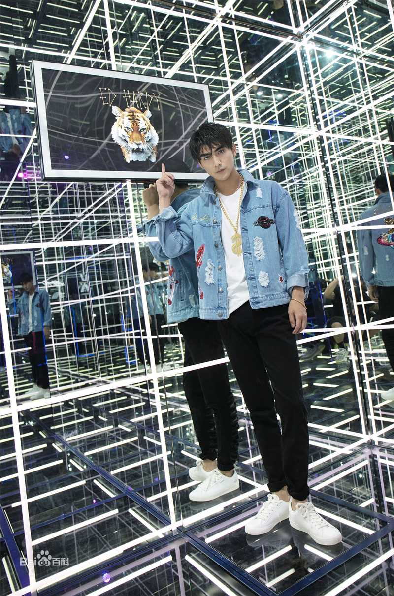 张思帆综艺壁纸壁纸