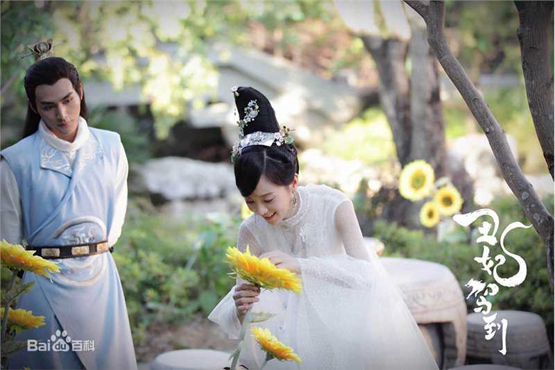 胡意旋《丑妃驾到》最优质剧照