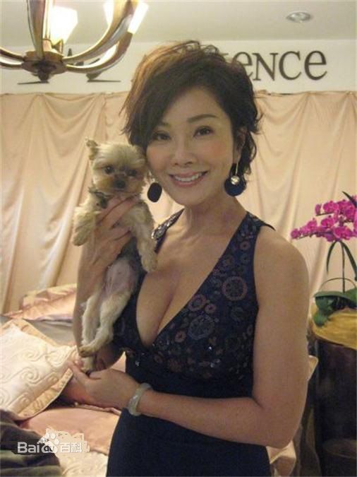 高清陈美凤(Meifen Chen)图片