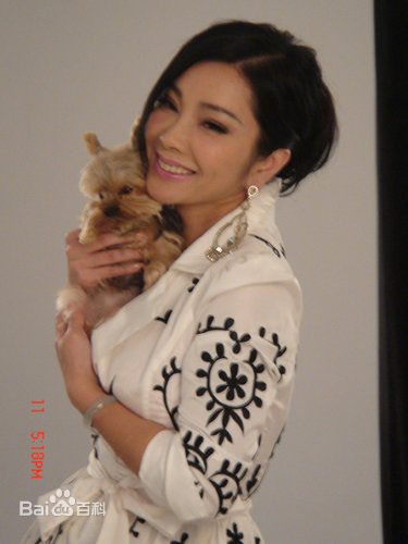 高清陈美凤(Meifen Chen)图片