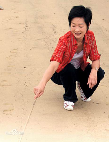 精选谭玉瑛(TAM YUK YING)精彩图册