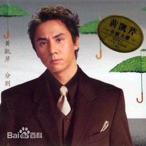 黄凯芹(CHRISTOPHER)前后照片