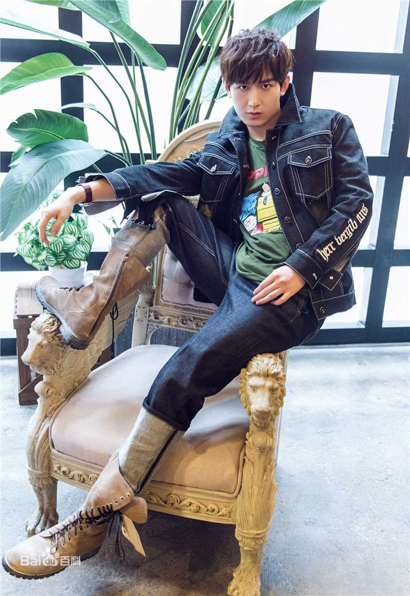 成毅最优质相册