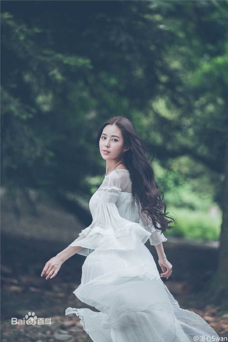 温心(Swan)精选图册