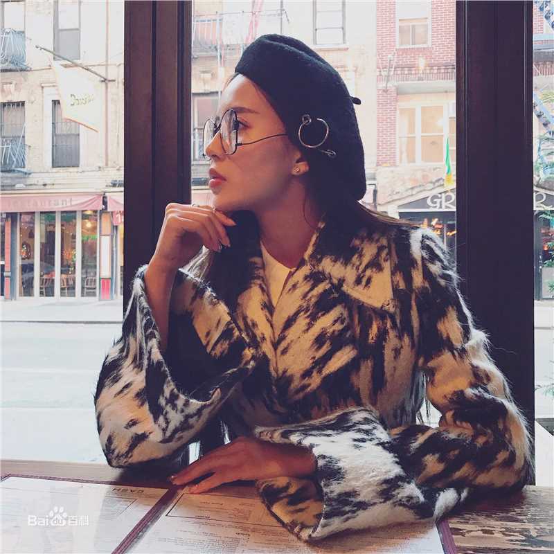 温心(Swan)高清国外图集